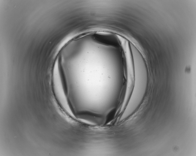X0000093120862200710241301