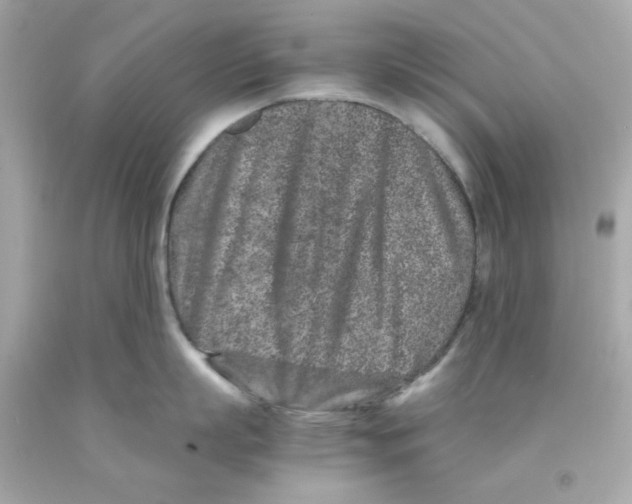X0000093120863200710241301