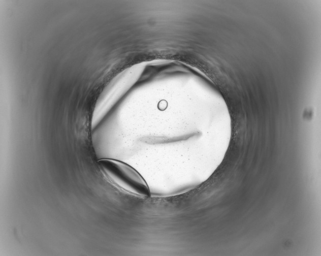 X0000093120866200710241300