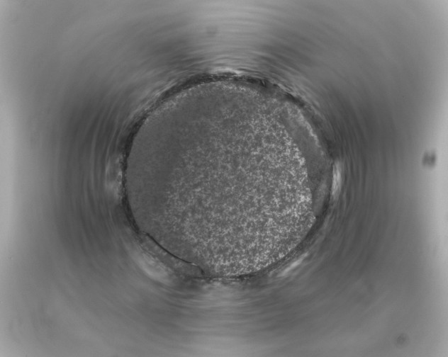 X0000093120868200710241300