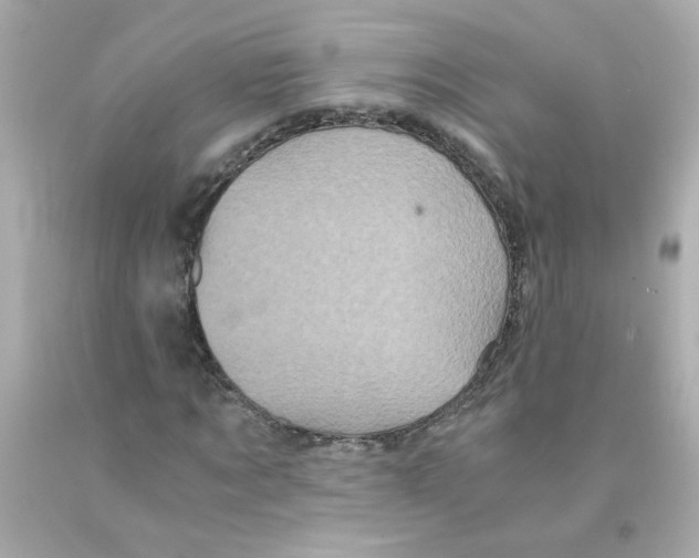 X0000093120869200710241300