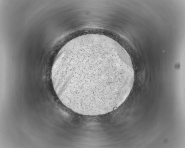 X0000093120870200710241300