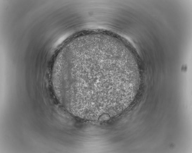 X0000093120871200710241300