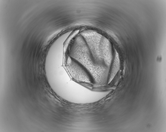 X0000093120872200710241300