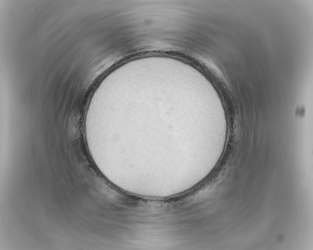 X0000093120873200710241300