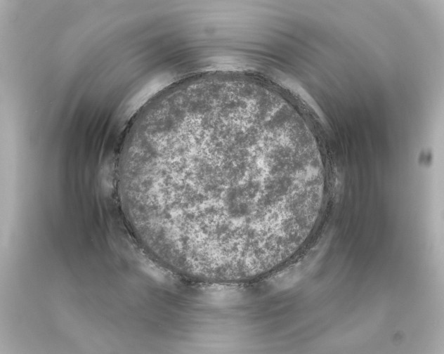X0000093120874200710241300