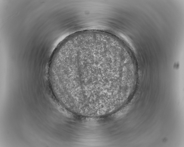 X0000093120875200710241300