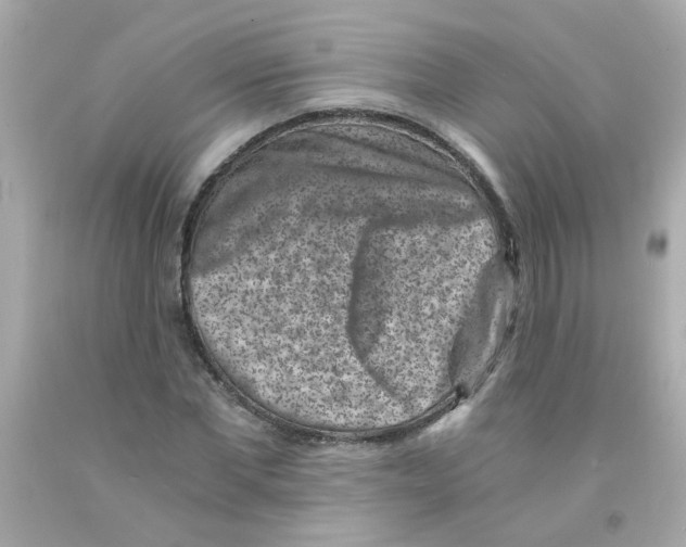 X0000093120877200710241300