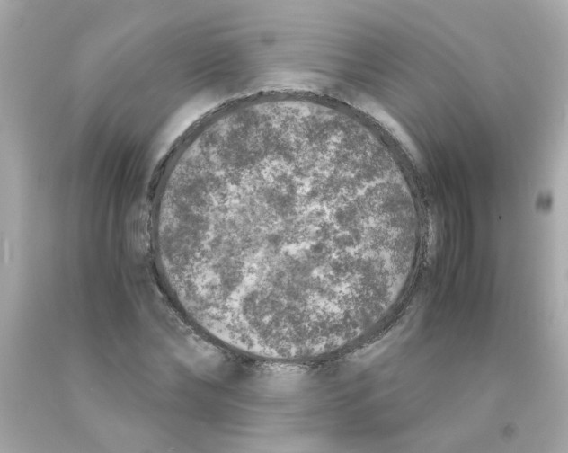 X0000093120878200710241300