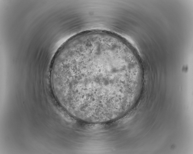 X0000093120879200710241300