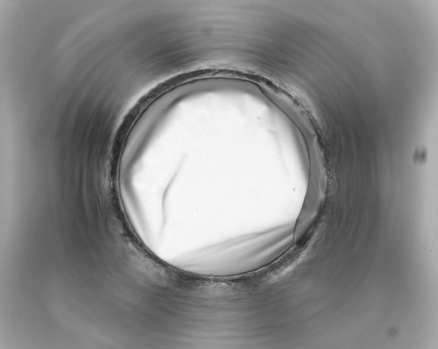 X0000093120880200710241300