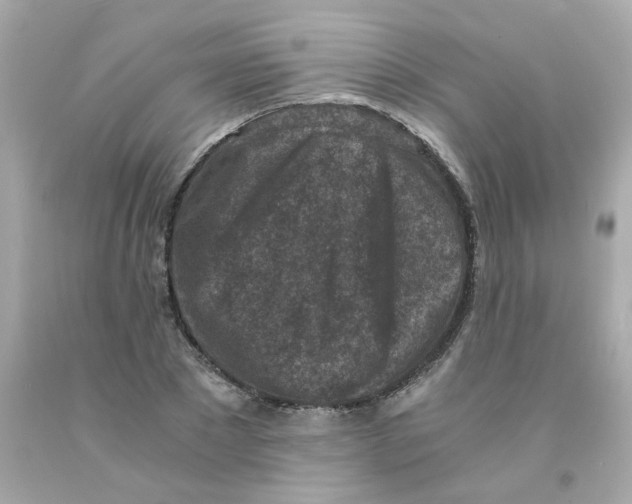 X0000093120881200710241300
