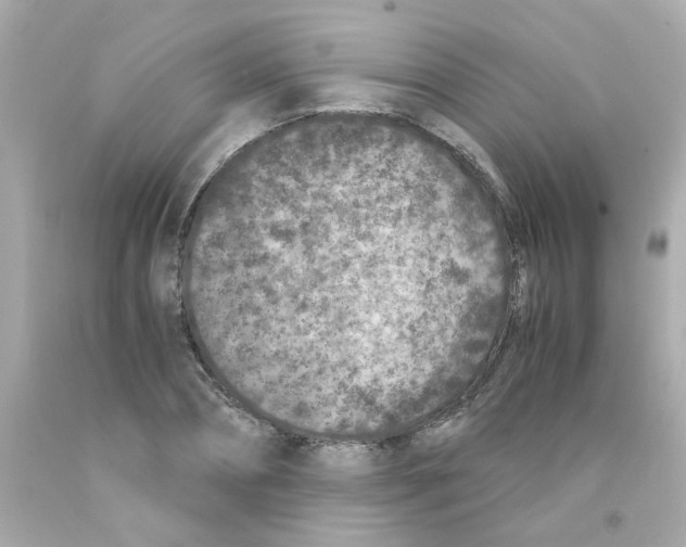 X0000093120882200710241300