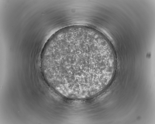 X0000093120883200710241300