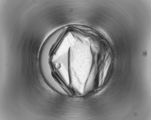 X0000093120884200710241300