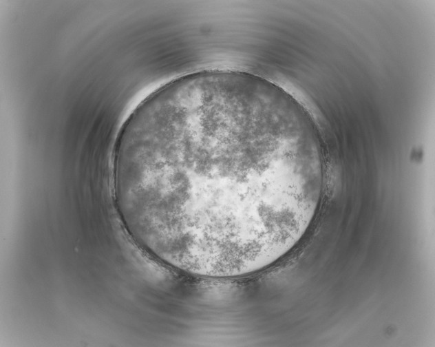 X0000093120886200710241300