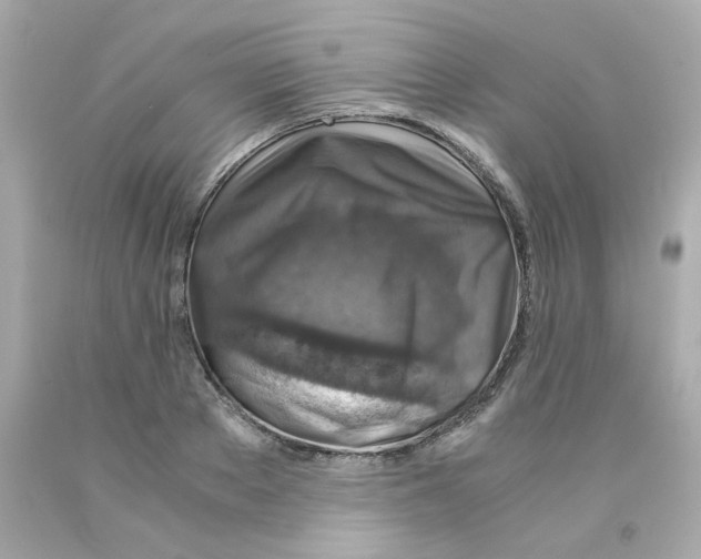 X0000093120889200710241300