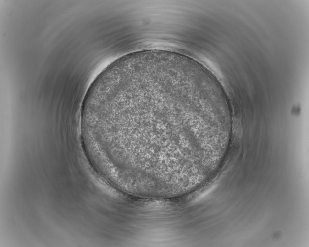 X0000093120891200710241300