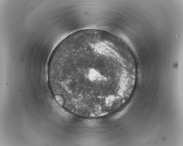 X0000093120892200710241300