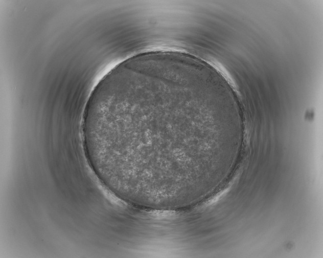 X0000093120893200710241300
