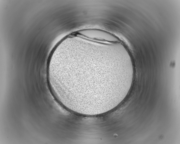 X0000093120894200710241300