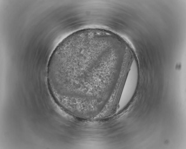 X0000093120895200710241300