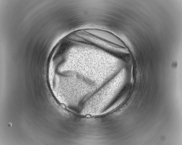 X0000093120896200710241300