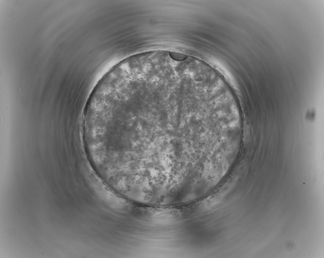 X0000093120899200710241300