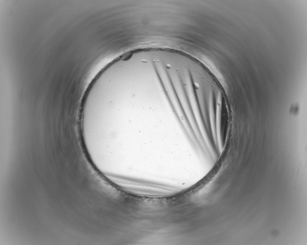 X0000093120901200710241300