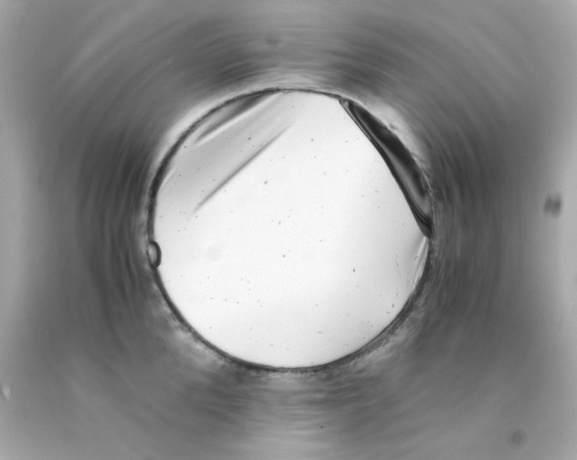X0000093120904200710241300