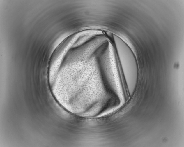 X0000093120906200710241300