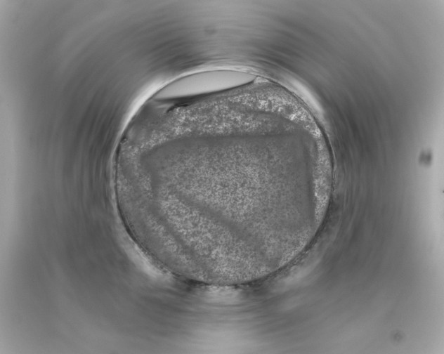 X0000093120907200710241300