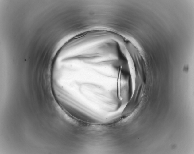 X0000093120910200710241300
