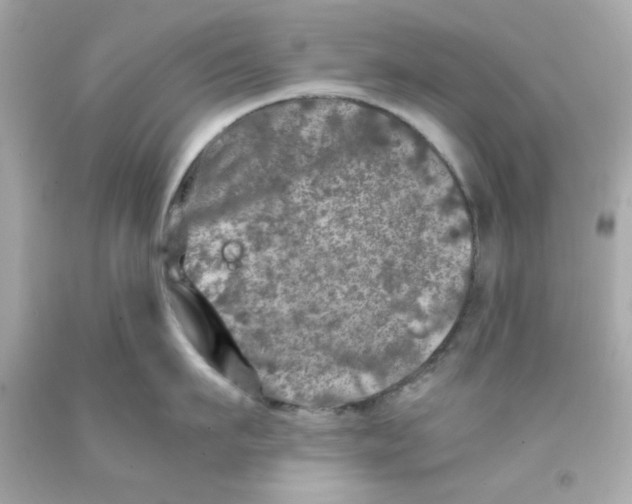 X0000093120911200710241300