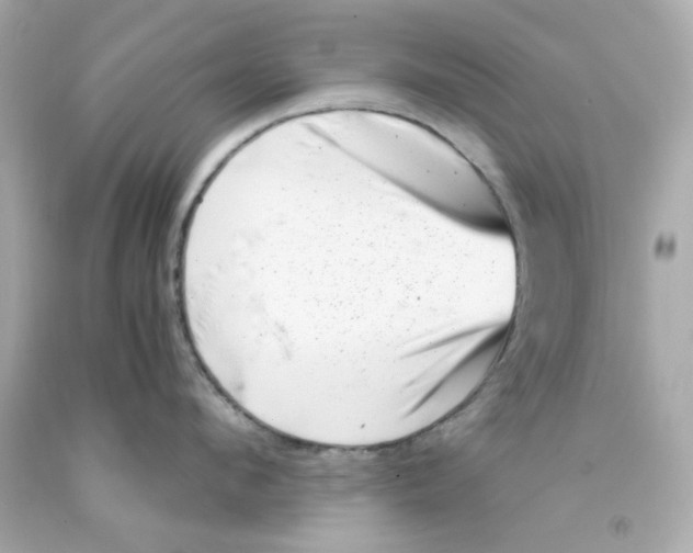 X0000093120912200710241300