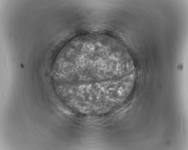 X0000093120913200710241259