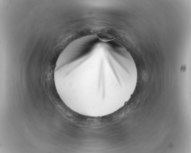 X0000093120914200710241259