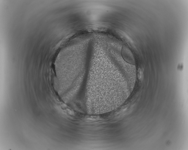 X0000093120915200710241259