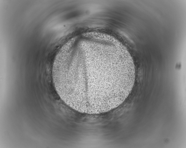 X0000093120917200710241259