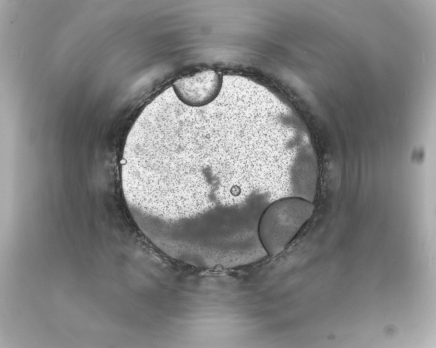 X0000093120918200710241259