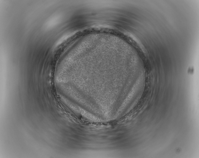 X0000093120919200710241259