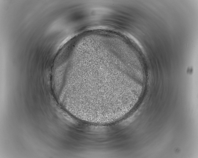 X0000093120921200710241259