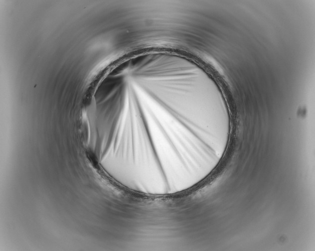 X0000093120922200710241259