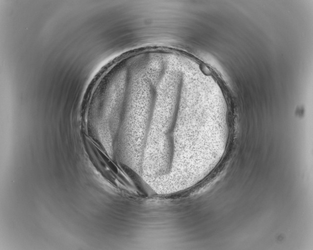 X0000093120924200710241259