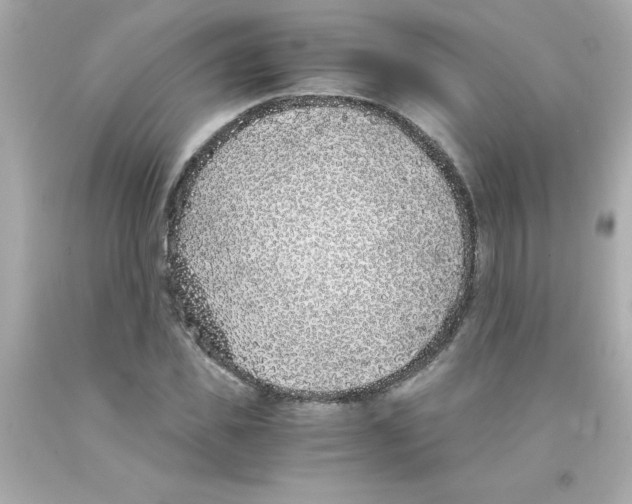 X0000093120925200710241259
