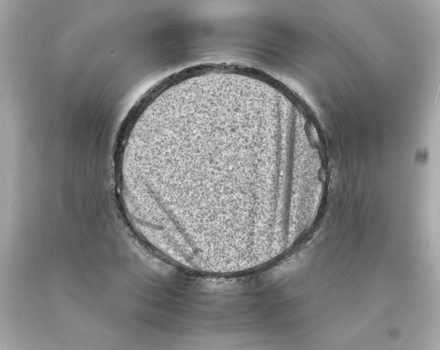 X0000093120927200710241259