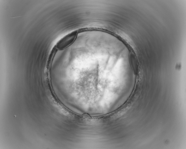 X0000093120928200710241259