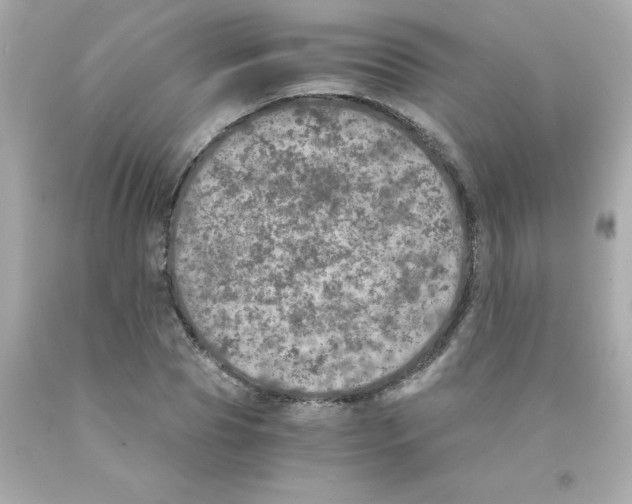 X0000093120929200710241259