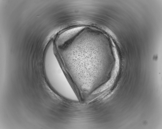 X0000093120930200710241259