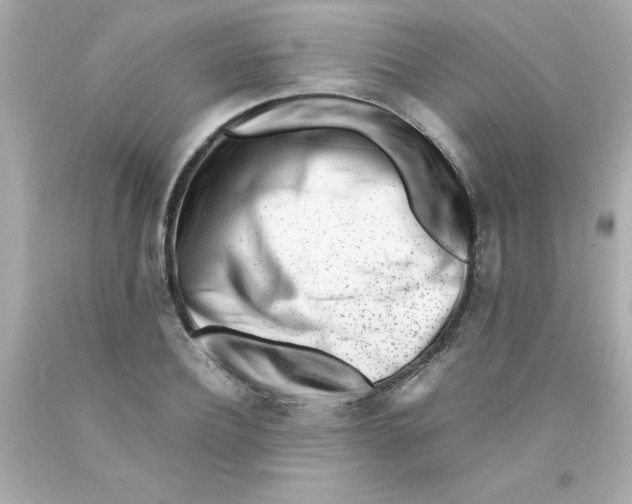 X0000093120932200710241259